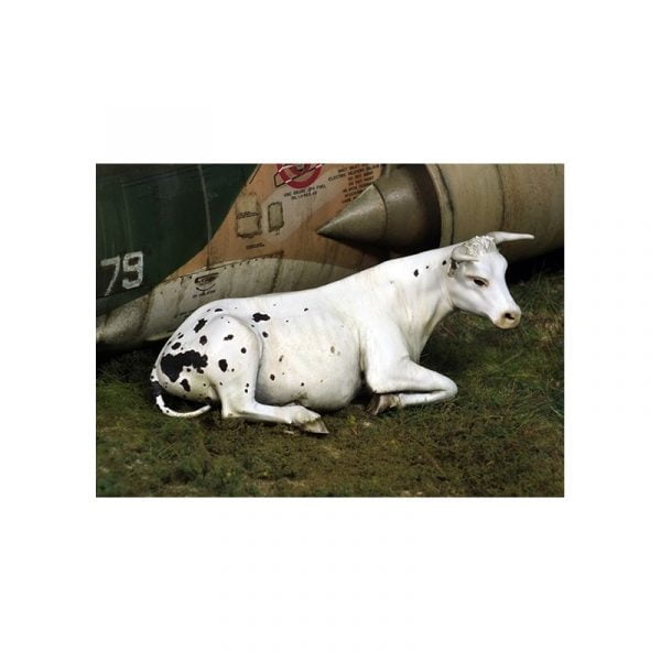 Cow Lying Down 1/35