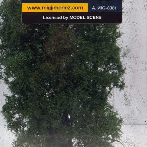 Fine Bush - Early Summer