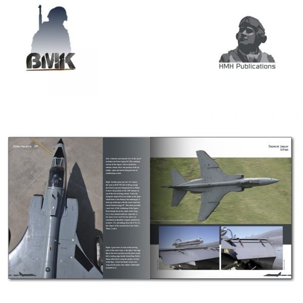 Sepecat Jaguar  by Duke Hawknis – Image 2