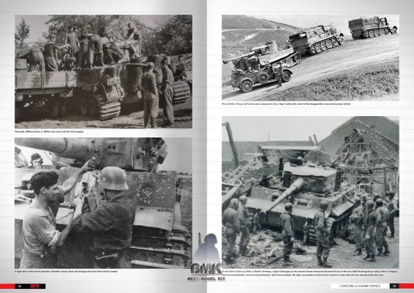 Tigers – Construire la gamme Ryefield (Français) – Image 3