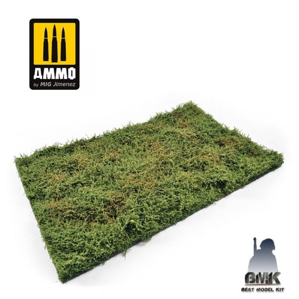Wilderness Fields with bushes - Early Summer – Image 2