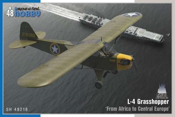 L-4 Grasshopper - From Africa to central Europe