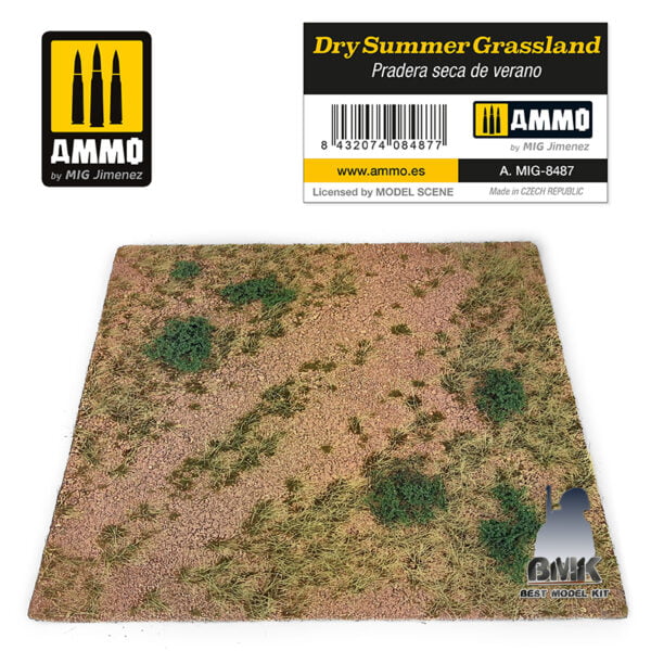Dry Summer Grassland